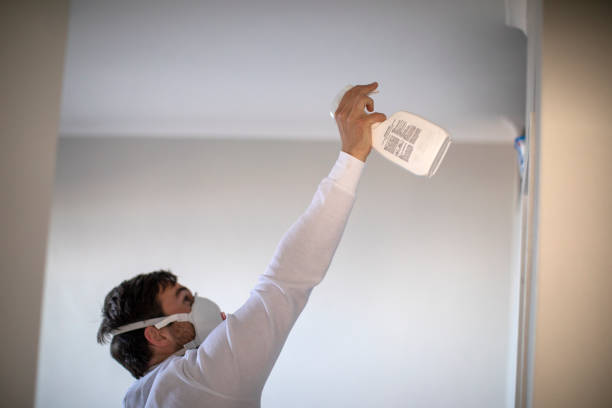 Best Professional Mold Removal  in Abbeville, SC