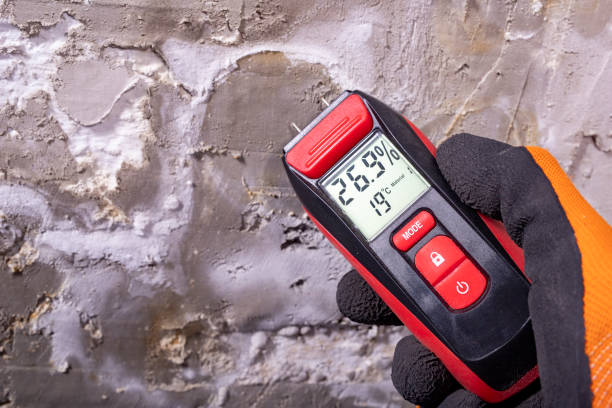 Crawl Space Mold Removal in Abbeville, SC